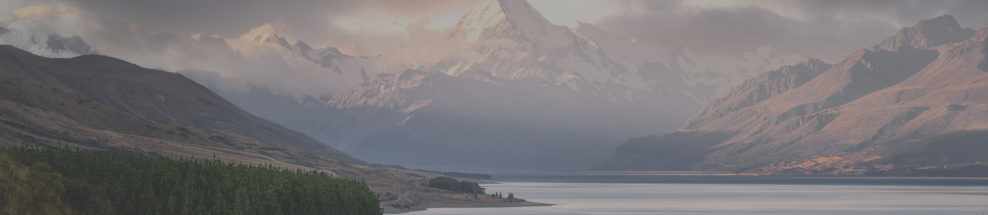 必赢亚洲(中国区)有限公司官网